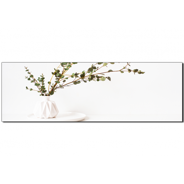 Obraz na plátně - Větev eukalyptu v bílé váze na bílém pozadí - panoráma